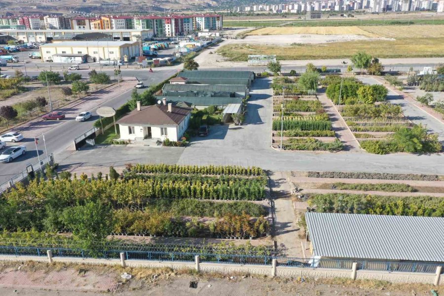 Başkan Çolakbayrakdar: “kişi Başına Düşen 18 Metrekare Yeşil Alan İle Rekoru Yenileyeceğiz”