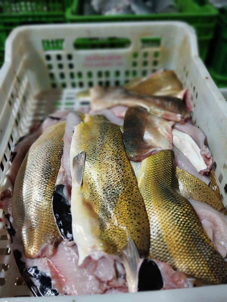 Beyşehir Gölü’nde Av Faaliyetlerine Yönelik Denetimler Sürüyor