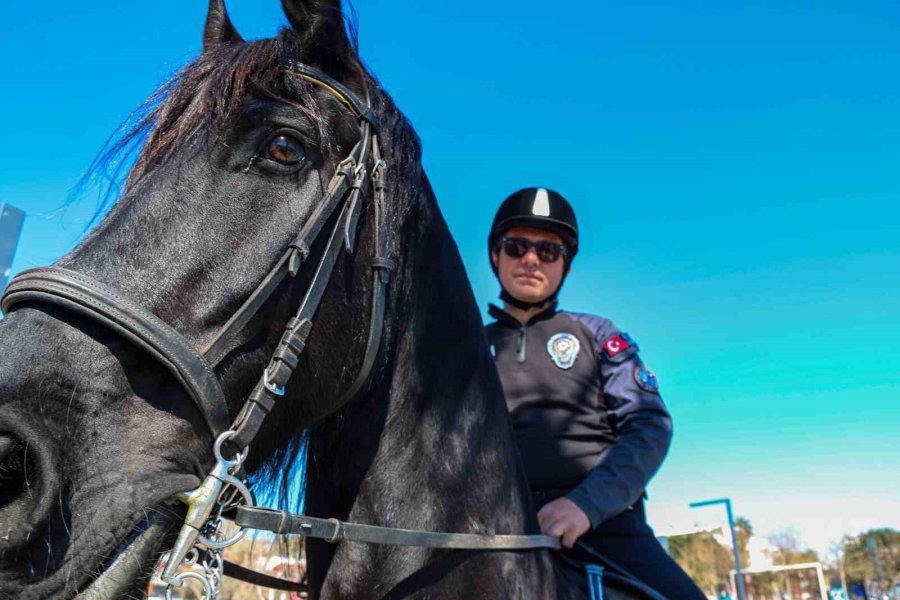 Konyaaltı Sahili’nin Güvenliği Börü Ve Winner’a Emanet