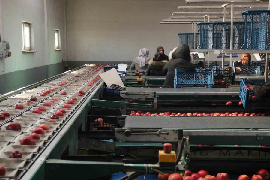 Kızıldeniz’deki Saldırılar Karaman’ın İhracatını Yüzde 60 Düşürdü