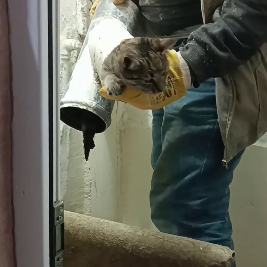 Lağım Borusuna Giren Yavru Kedi İçin Seferber Oldular