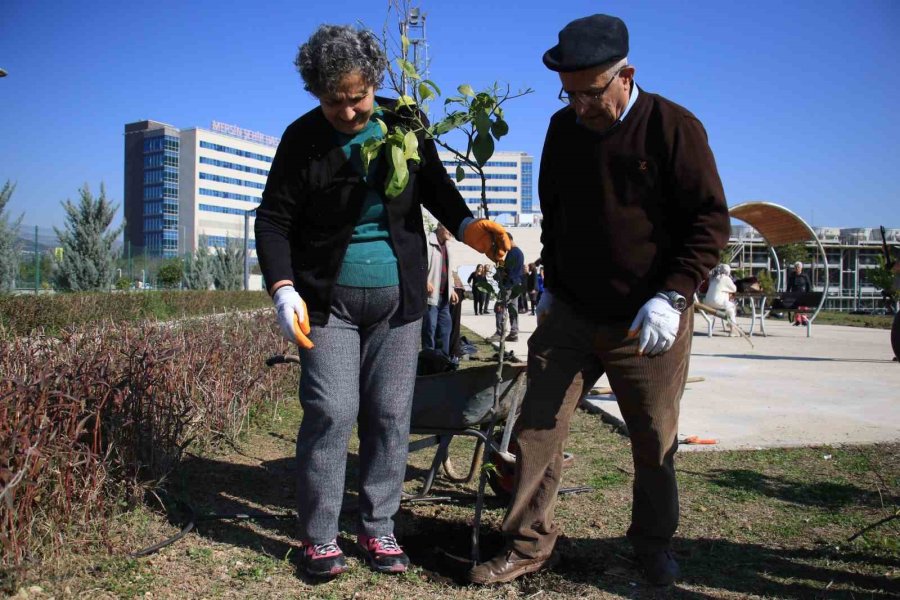 Yaşlılar Tedavi Gördükleri Hastanenin Bahçesine Fidan Dikti