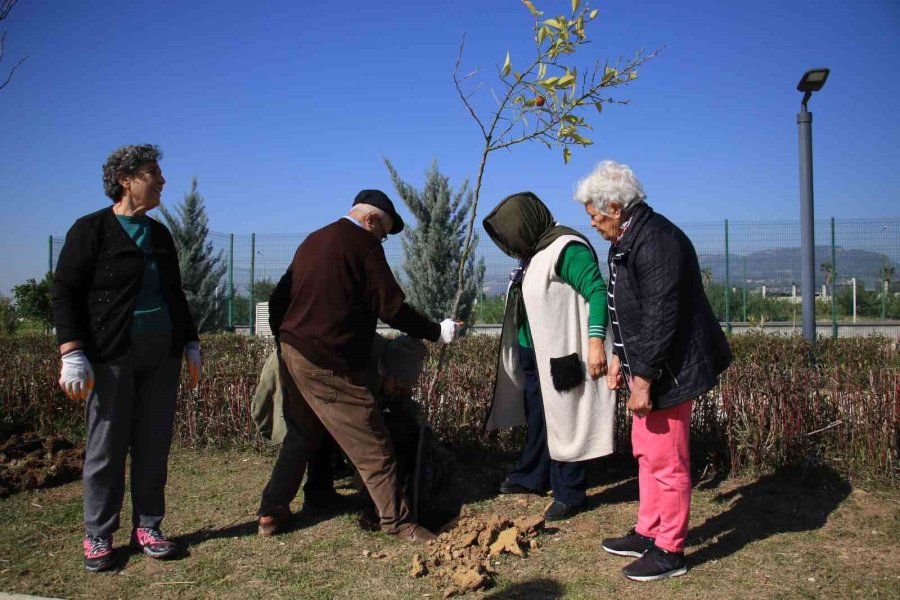 Yaşlılar Tedavi Gördükleri Hastanenin Bahçesine Fidan Dikti