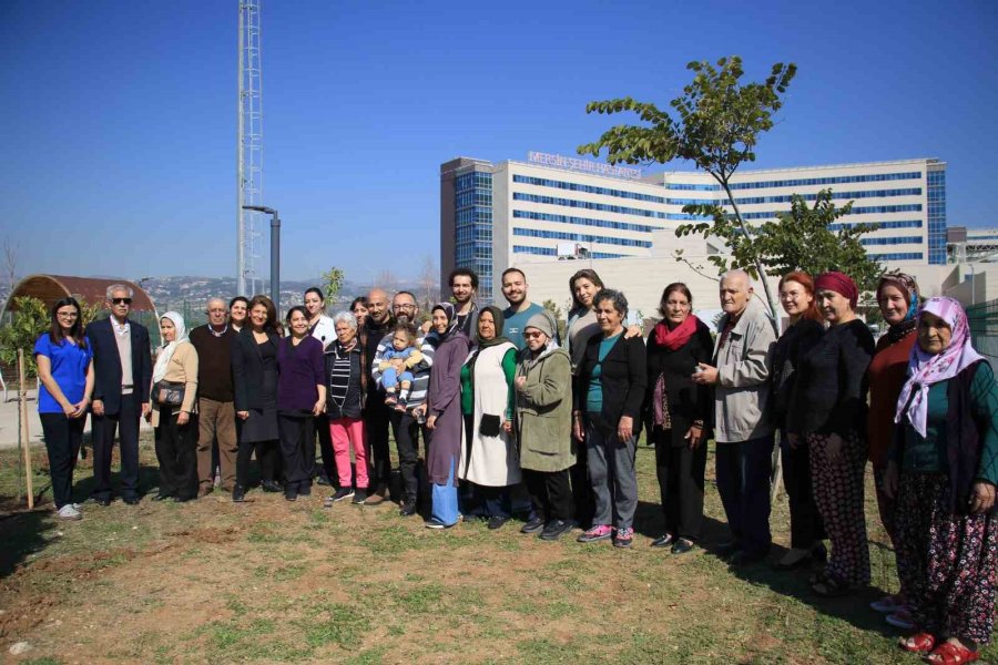 Yaşlılar Tedavi Gördükleri Hastanenin Bahçesine Fidan Dikti