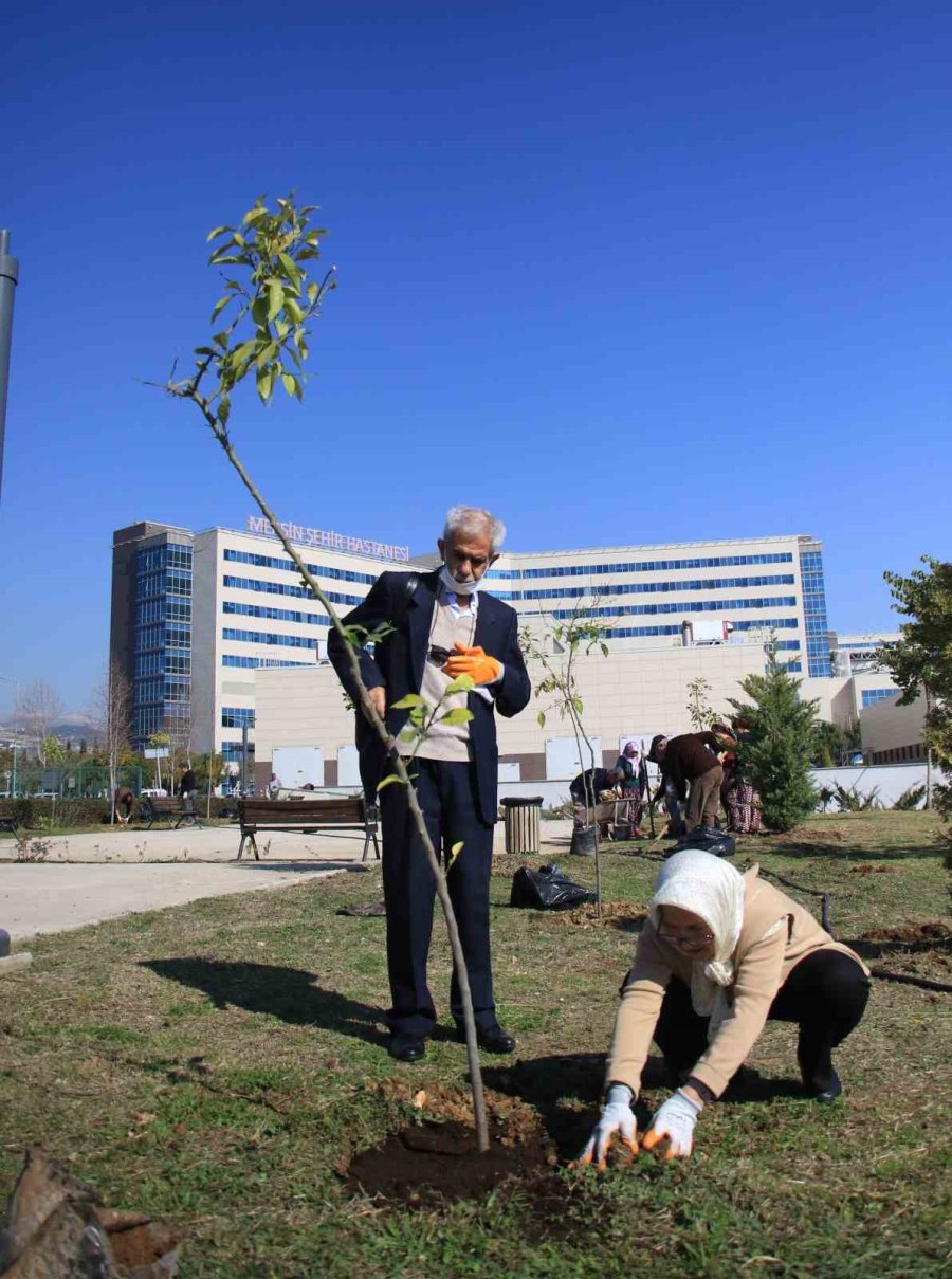 Yaşlılar Tedavi Gördükleri Hastanenin Bahçesine Fidan Dikti