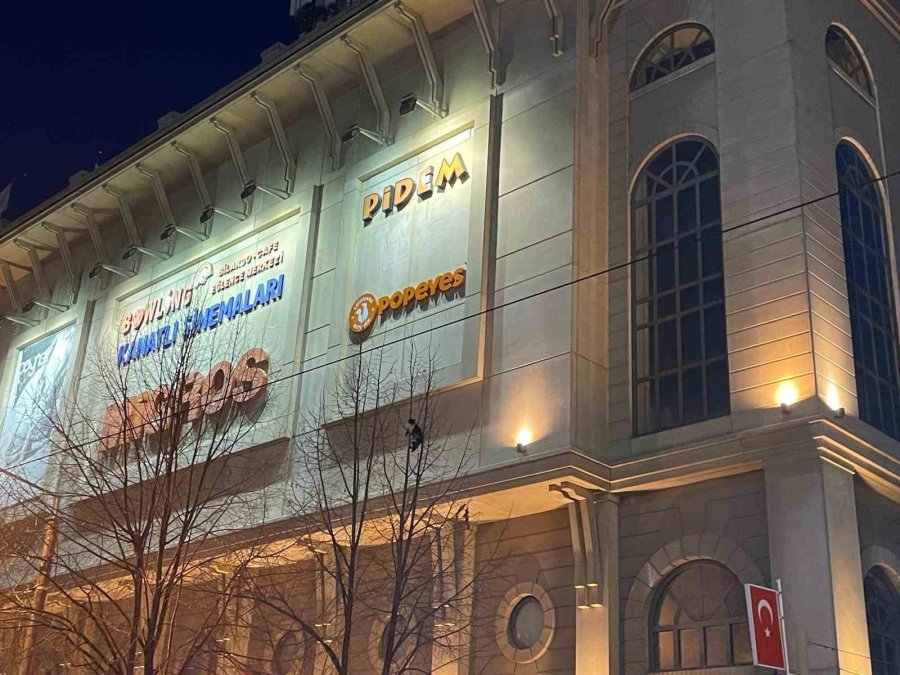 Ağaçta Mahsur Kalan Kediyi İtfaiye Kurtardı