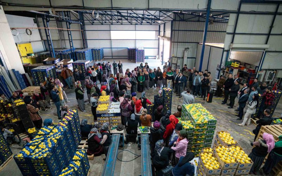 Soydan: "bahane Değil Çözüm Üreteceğiz"