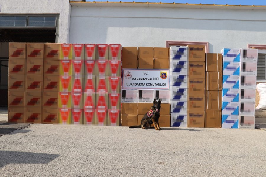 Jandarma’dan Kaçak Tütün Operasyonu: 2 Tutuklama