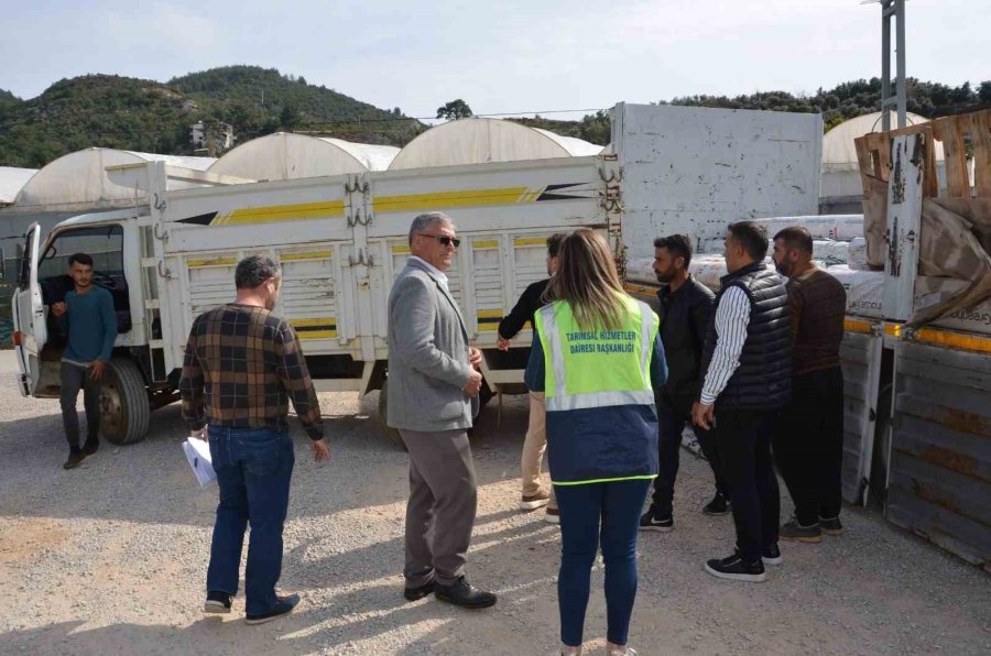 Büyükşehir Belediyesi Alanyalı Üreticilerin Yaralarını Sarıyor