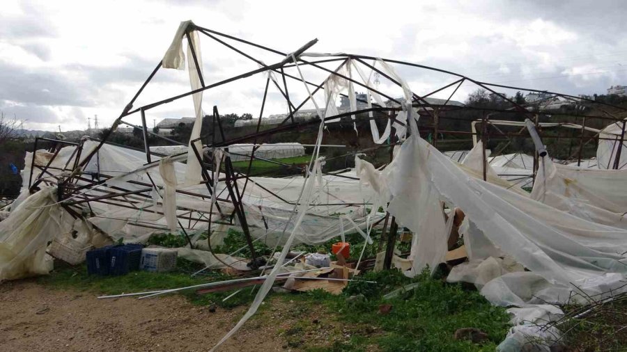 Alanya’da Hortum 250 Dönümden Fazla Seraya Zarar Verdi