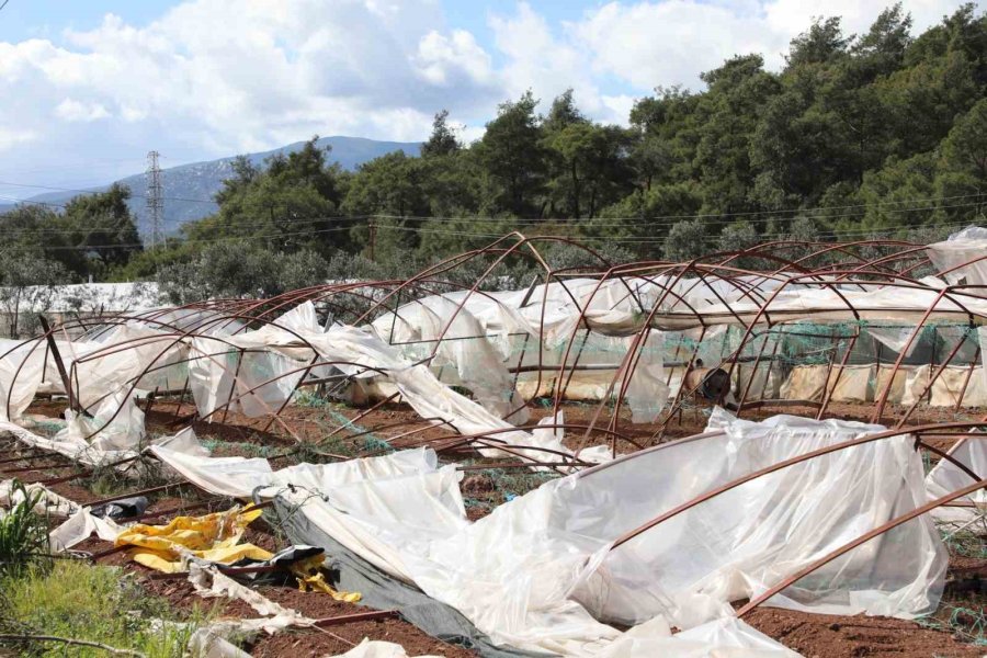Kumluca’da Hortum Felaketinin Yaraları Sarılıyor