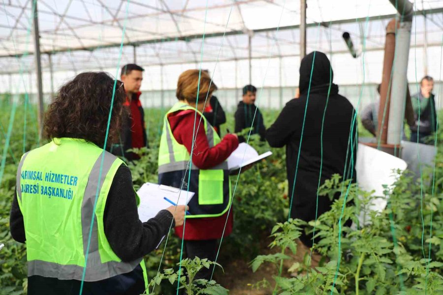 Kumluca’da Hortum Felaketinin Yaraları Sarılıyor
