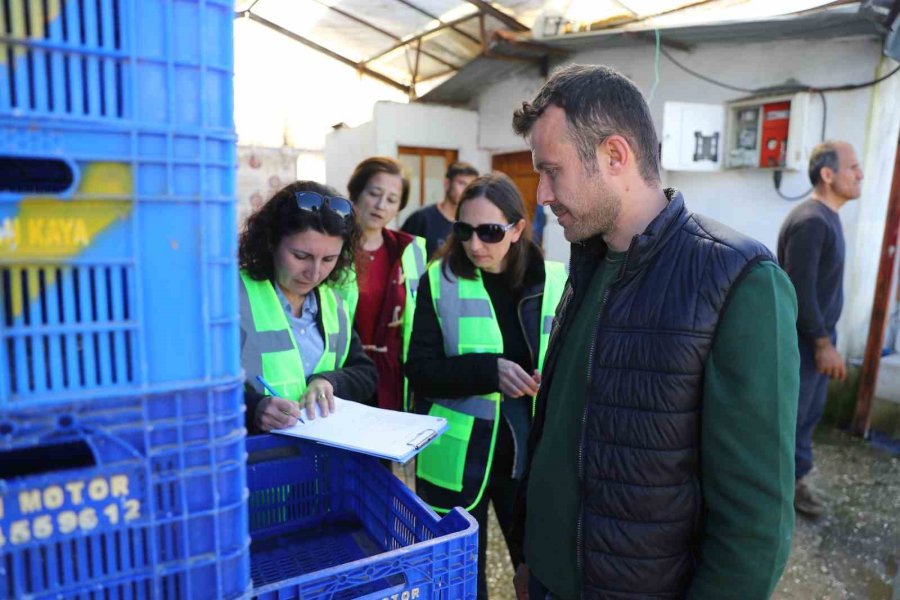 Kumluca’da Hortum Felaketinin Yaraları Sarılıyor