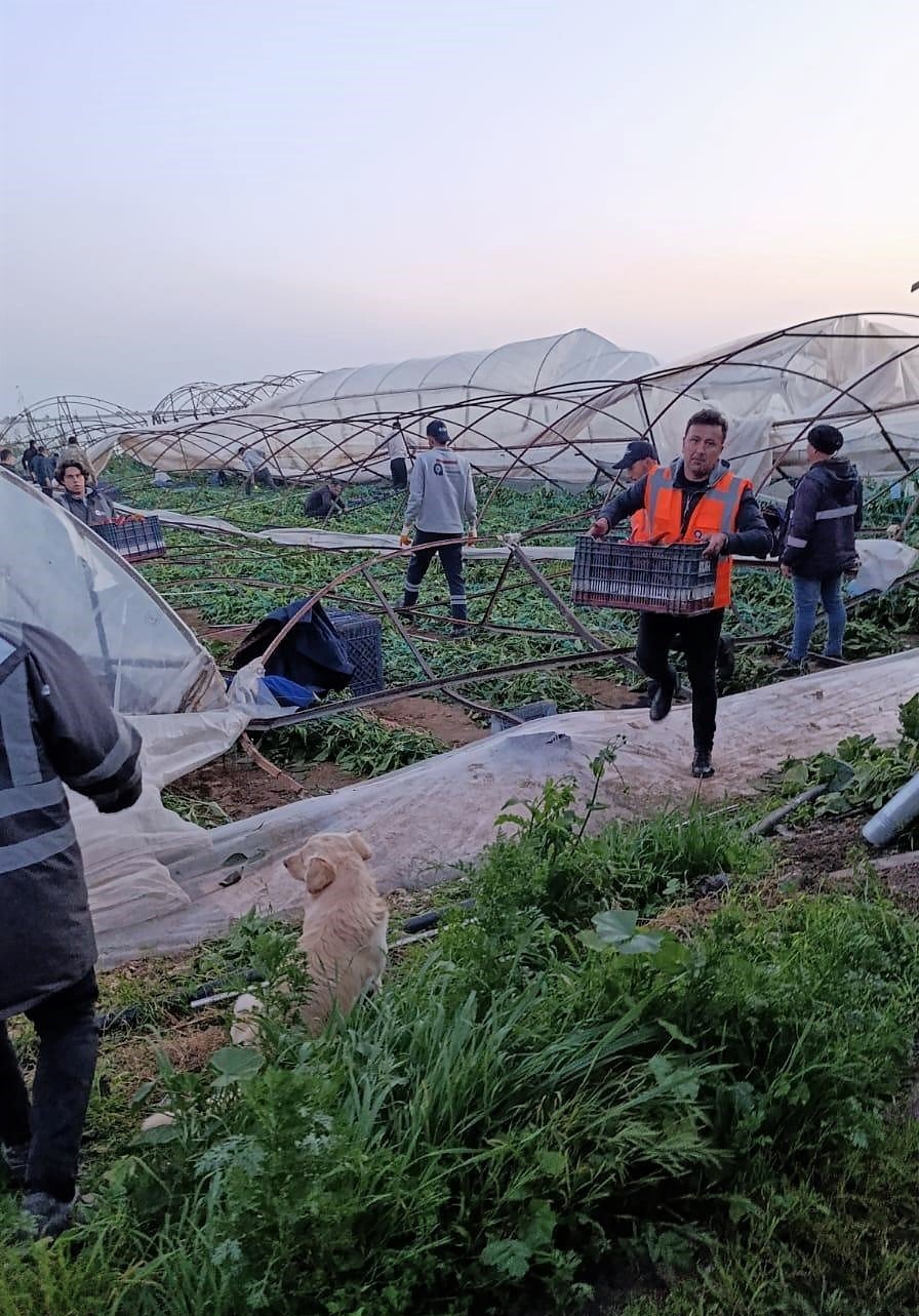 Kumluca’da Hortum Felaketinin Yaraları Sarılıyor