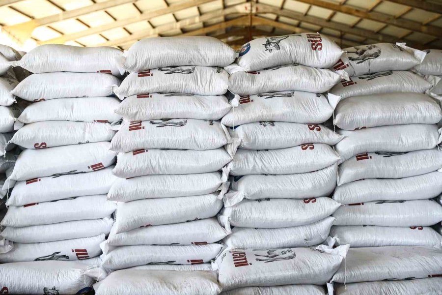 Korkutelili Çiftçilere 36 Ton Yem Desteği