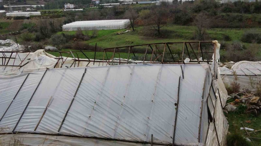 Alanya’da Hortum 250 Dönümden Fazla Seraya Zarar Verdi