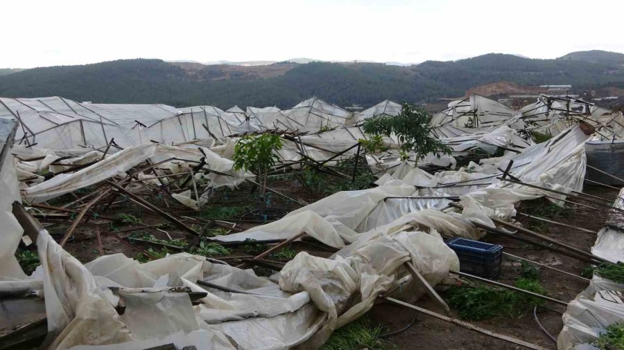 Alanya’da Hortum 250 Dönümden Fazla Seraya Zarar Verdi