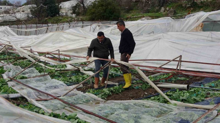 Alanya’da Hortum 250 Dönümden Fazla Seraya Zarar Verdi