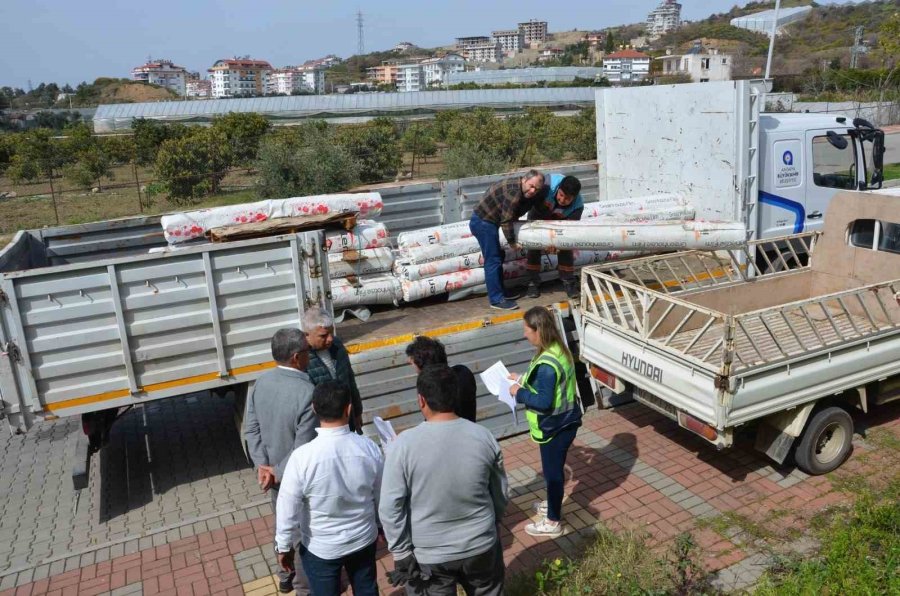 Büyükşehir Belediyesi Alanyalı Üreticilerin Yaralarını Sarıyor