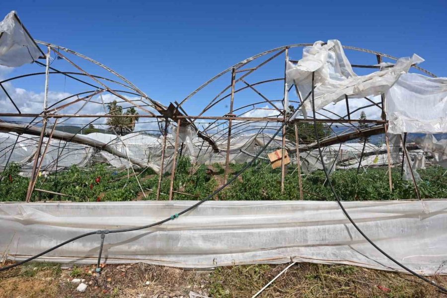 Tütüncü: “devletimizin Yardım Eli Çiftçilerimize, Üreticilerimize Uzanacak”