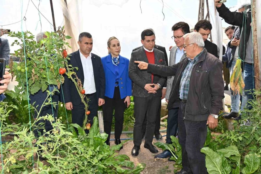 Tütüncü: “devletimizin Yardım Eli Çiftçilerimize, Üreticilerimize Uzanacak”