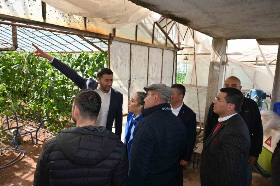 Tütüncü: “devletimizin Yardım Eli Çiftçilerimize, Üreticilerimize Uzanacak”