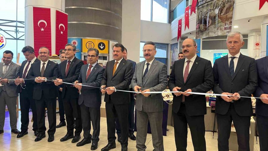 “ilmek İlmek Dokunmuş Hayatlar, Kadınların Elleriyle Özgürleşiyor” Sergisi