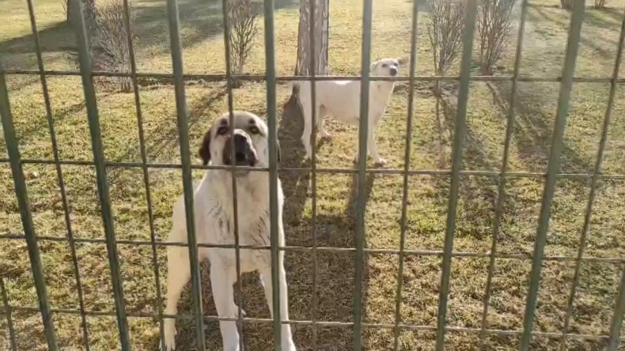 Parklarda Çifte Standart İddiası