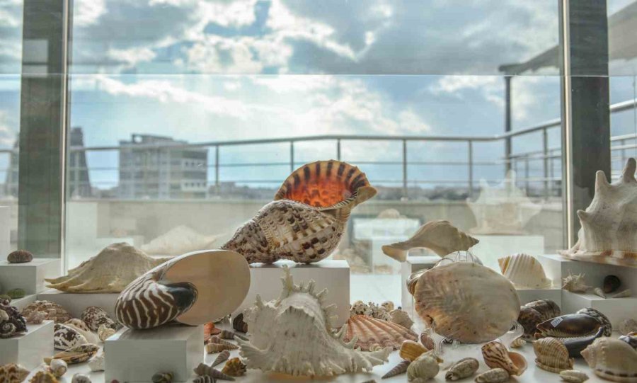 Türkiye’de Bir İlk Olan ‘müze Belediye’ Açılıyor