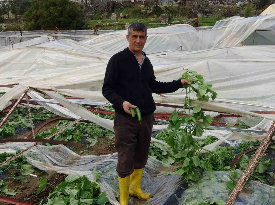 Alanya’da Hortum 250 Dönümden Fazla Seraya Zarar Verdi