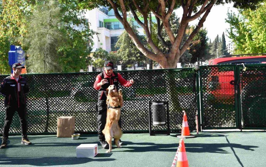 Bu Kez Tatbikata Minikler Katıldı