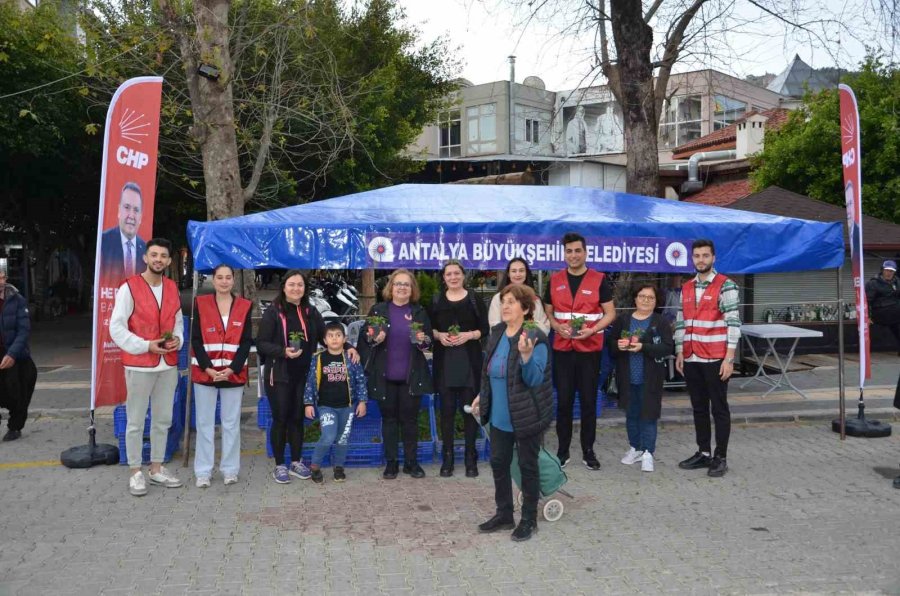 Başkan Böcek’ten, Alanyalı Kadınlara Aşk Çiçeği Hediyesi
