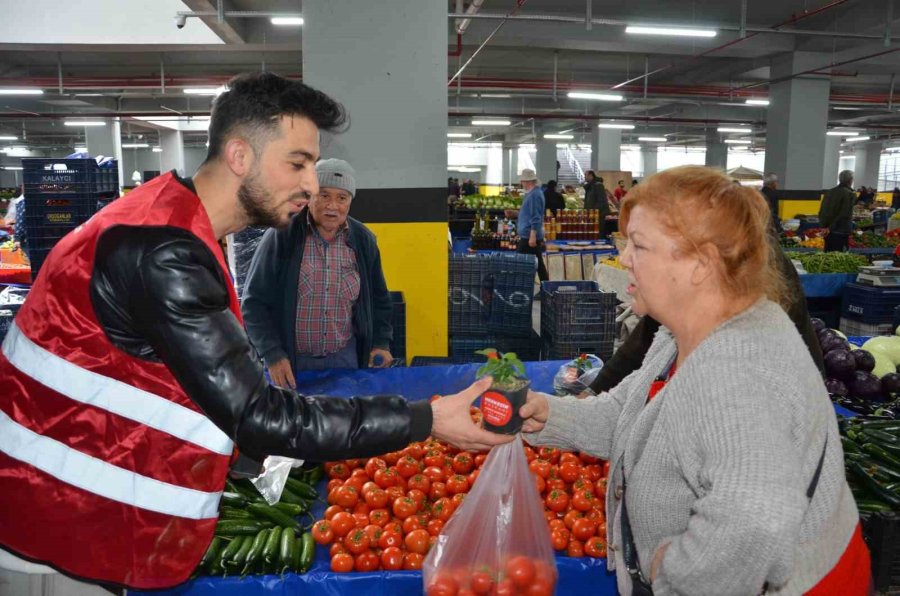 Başkan Böcek’ten, Alanyalı Kadınlara Aşk Çiçeği Hediyesi