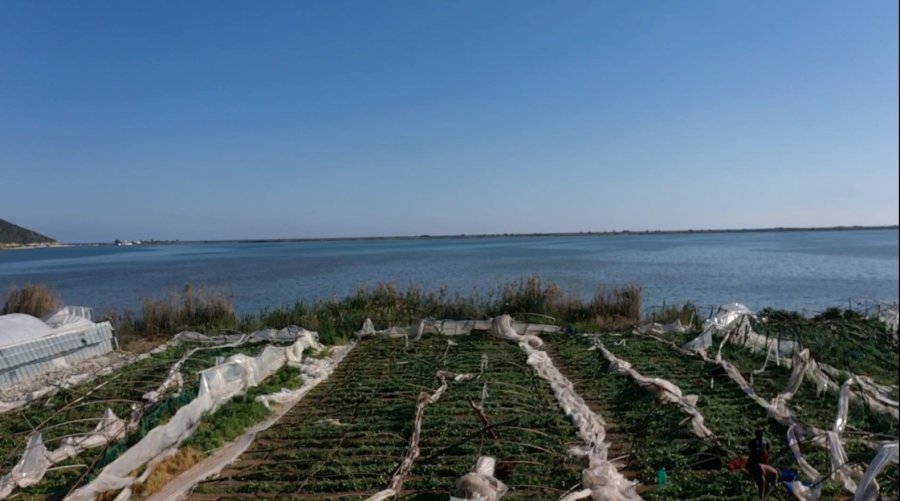Denizden Gelen Hortum Seralara Yaklaştıkça ‘‘allah’ım Sen Koru" Diyerek Dua Ettiler