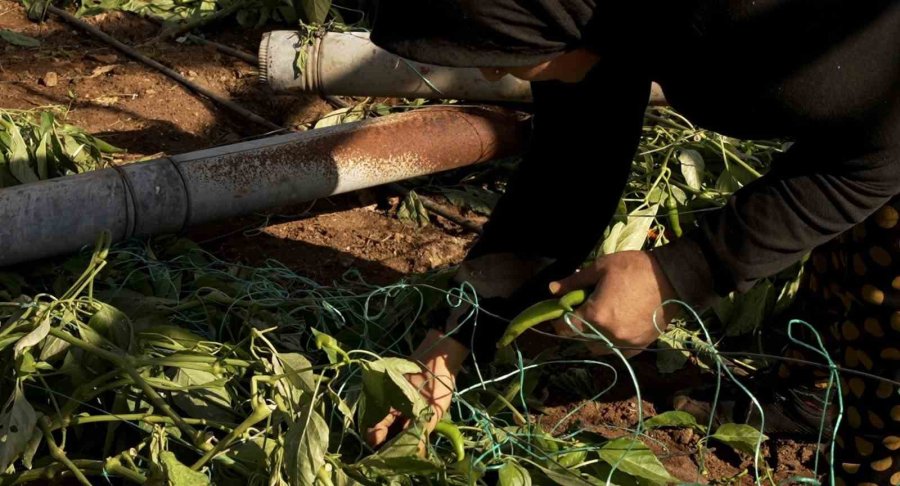 Denizden Gelen Hortum Seralara Yaklaştıkça ‘‘allah’ım Sen Koru" Diyerek Dua Ettiler