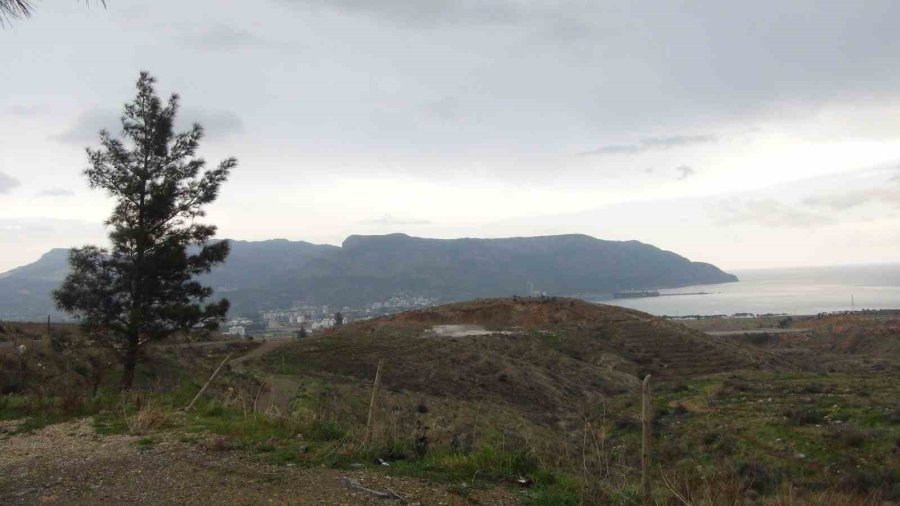 Mersin’de Yanan 12 Bin 946 Hektar Ormanlık Alana 4 Milyon Fidan Dikildi