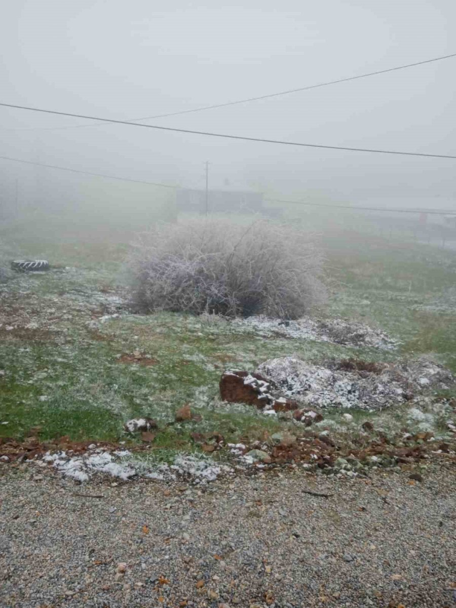 Eskişehir’de Sis Ve Don Olayı Etkili Oldu
