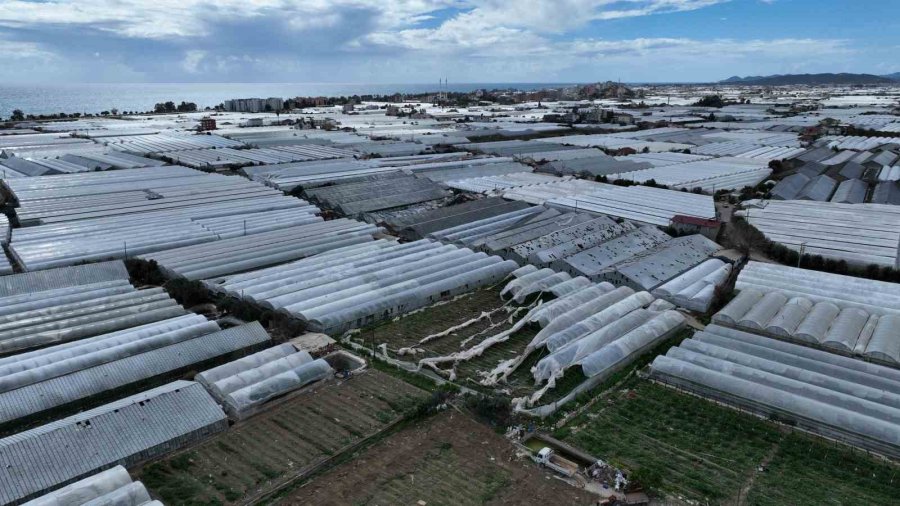 Hortumdan Zarar Gören Demreli Üreticilere Naylon Desteği