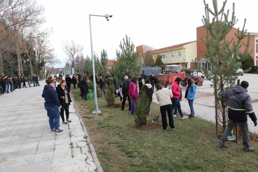 Eskişehir Teknik Üniversitesi’nde Hayatını Kaybeden Doç. Dr. Filiz Bayrakçı Karel Ve Kızı Anısına Ağaç Dikim Etkinliği Gerçekleştirdi