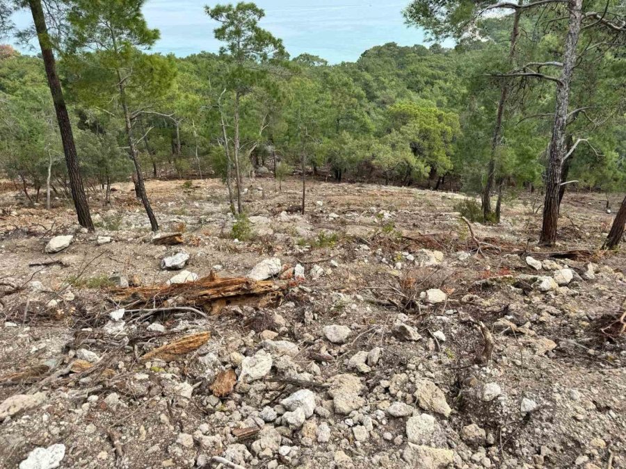 Başkan Topaloğlu: "doğamızın Katledilmesine Seyirci Kalmayacağız"