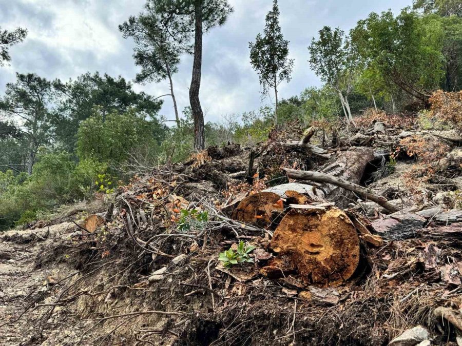 Başkan Topaloğlu: "doğamızın Katledilmesine Seyirci Kalmayacağız"