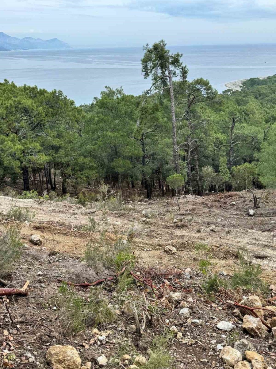 Başkan Topaloğlu: "doğamızın Katledilmesine Seyirci Kalmayacağız"