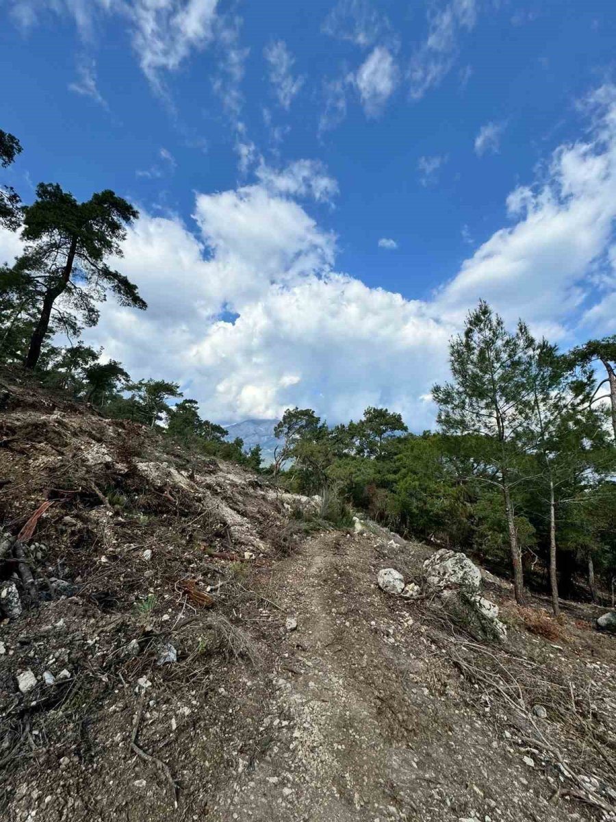 Başkan Topaloğlu: "doğamızın Katledilmesine Seyirci Kalmayacağız"