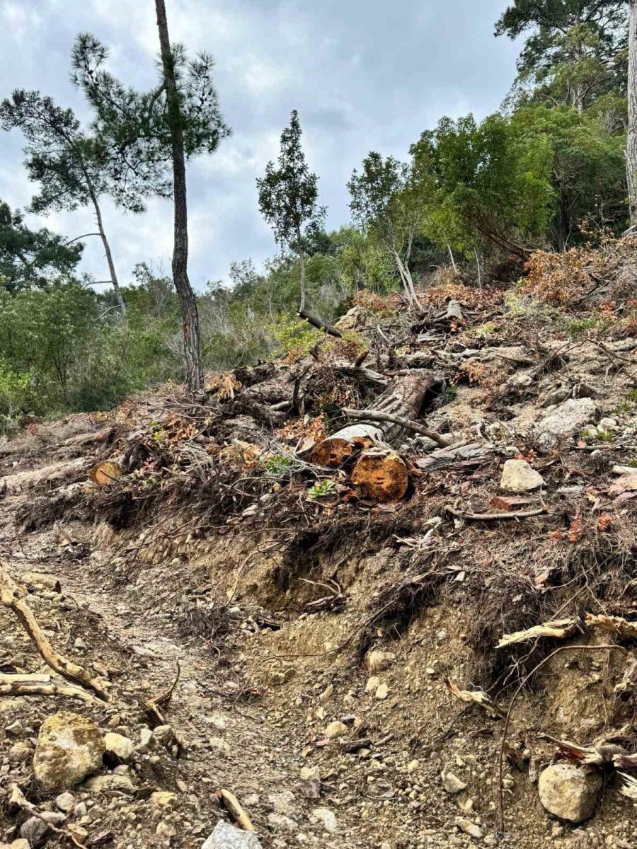 Başkan Topaloğlu: "doğamızın Katledilmesine Seyirci Kalmayacağız"
