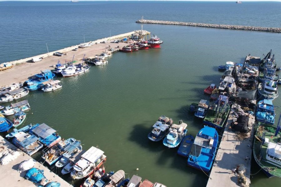 Mersinli Balıkçılar ’balon Balığı Avcılığına Yönelik Teşvik’ten Memnun