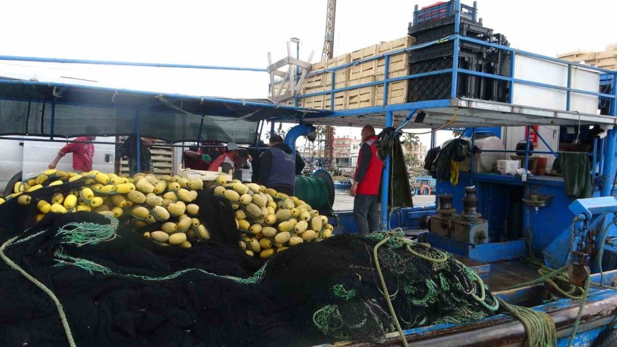 Mersinli Balıkçılar ’balon Balığı Avcılığına Yönelik Teşvik’ten Memnun