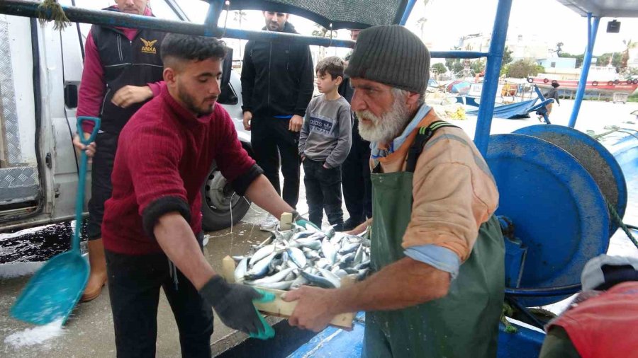 Mersinli Balıkçılar ’balon Balığı Avcılığına Yönelik Teşvik’ten Memnun