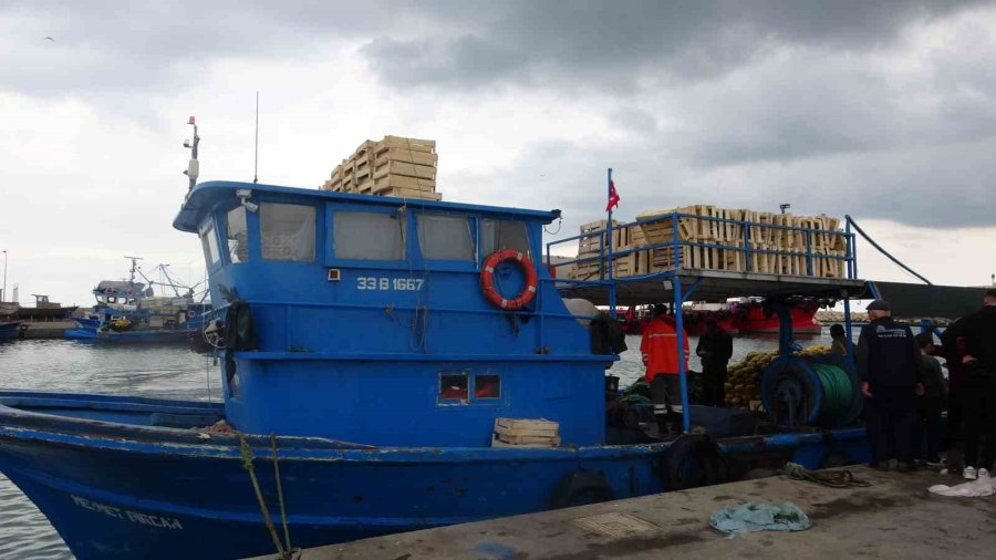 Mersinli Balıkçılar ’balon Balığı Avcılığına Yönelik Teşvik’ten Memnun