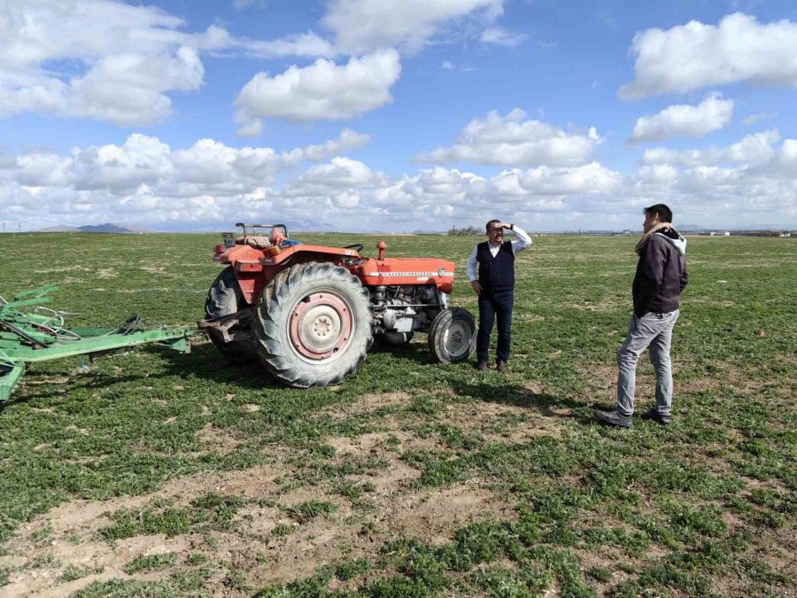 Konya’da Hububat Ekim Alanlarındaki Bitki Gelişimleri İncelendi