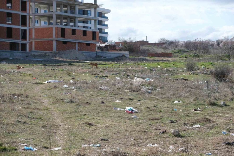 Ayşe Ünlüce’nin Topu İlçe Belediyelerine Attığı İddiası